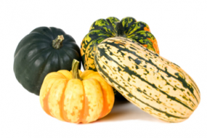 squash recipes