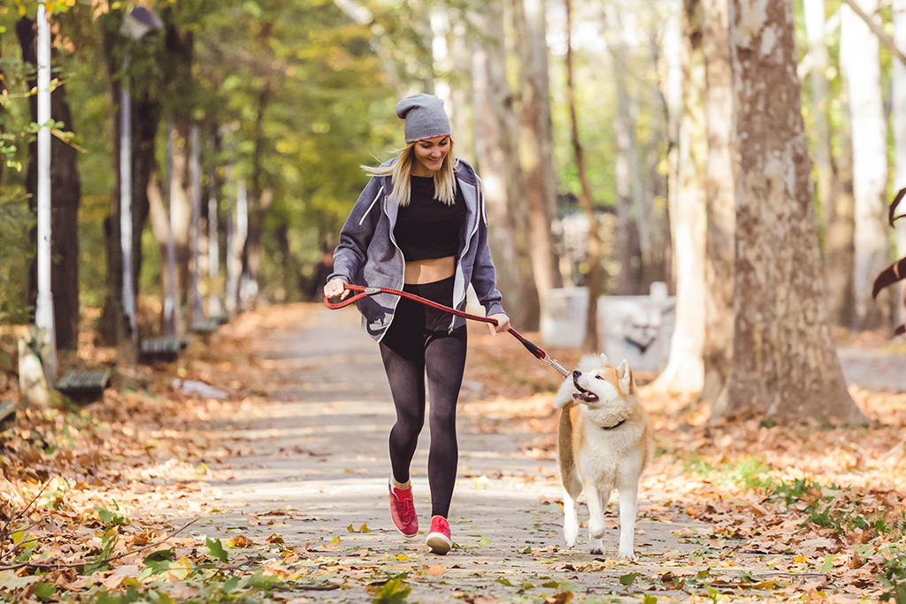 A woman going for a light jog with her dog outside in the fall.