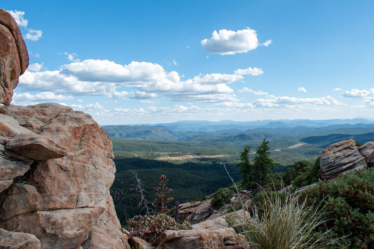 Babe Haught Trail (Sedona)