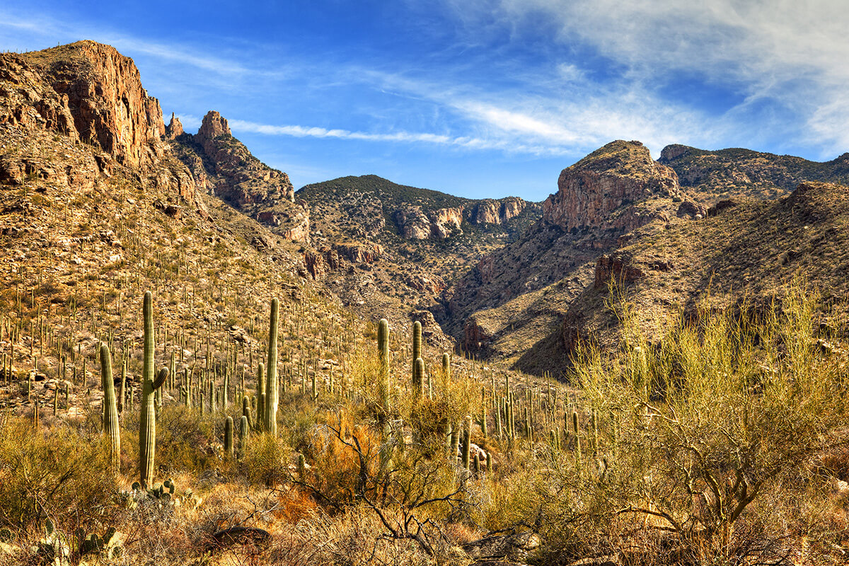 Finger Rock (Tucson)