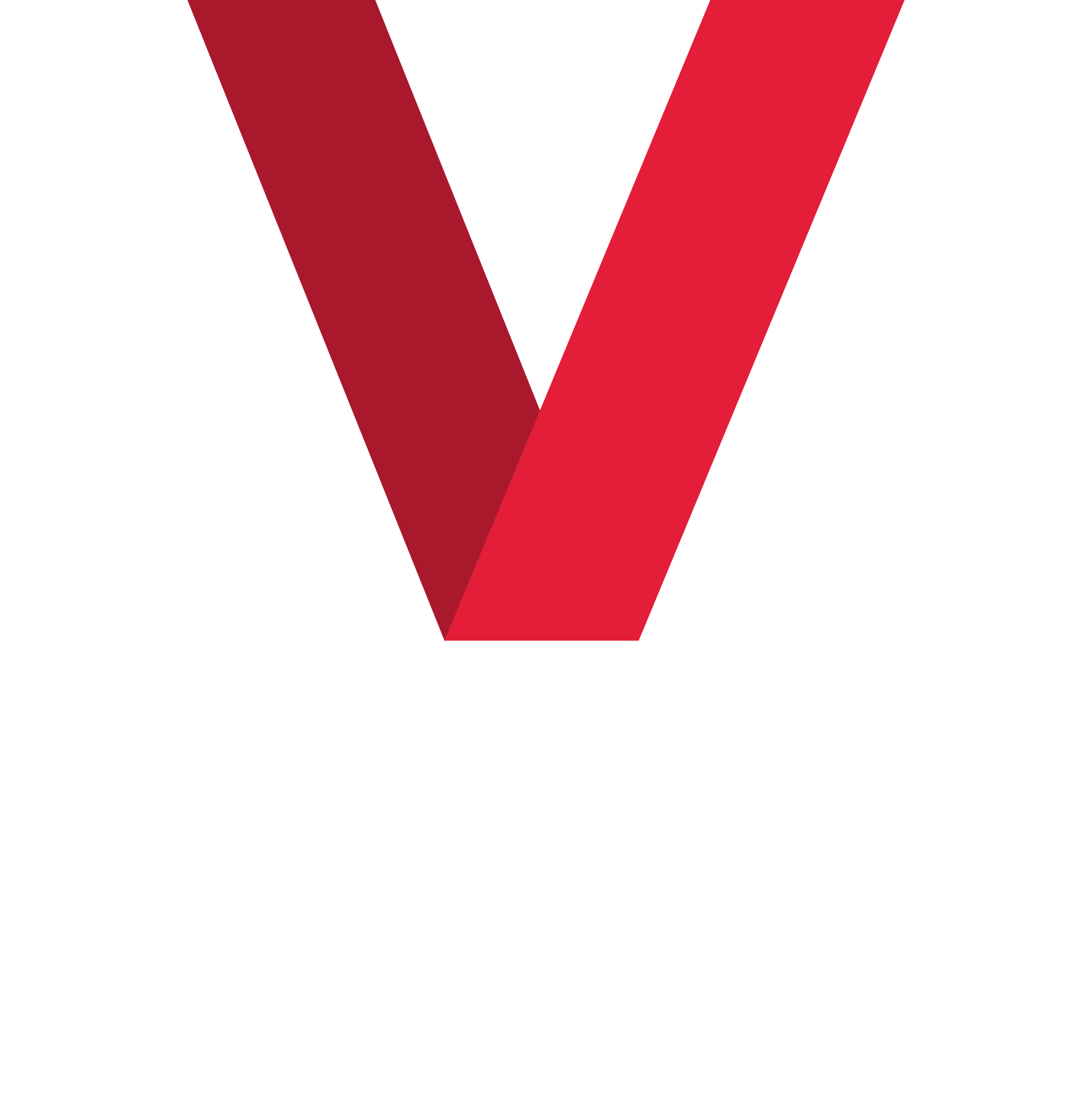 RED V - LOGO