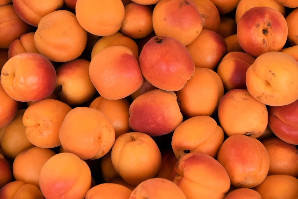 A pile of apricots