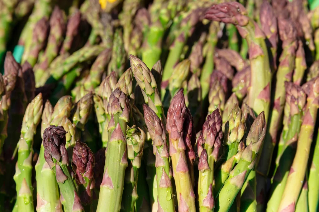 A pile of asparagus
